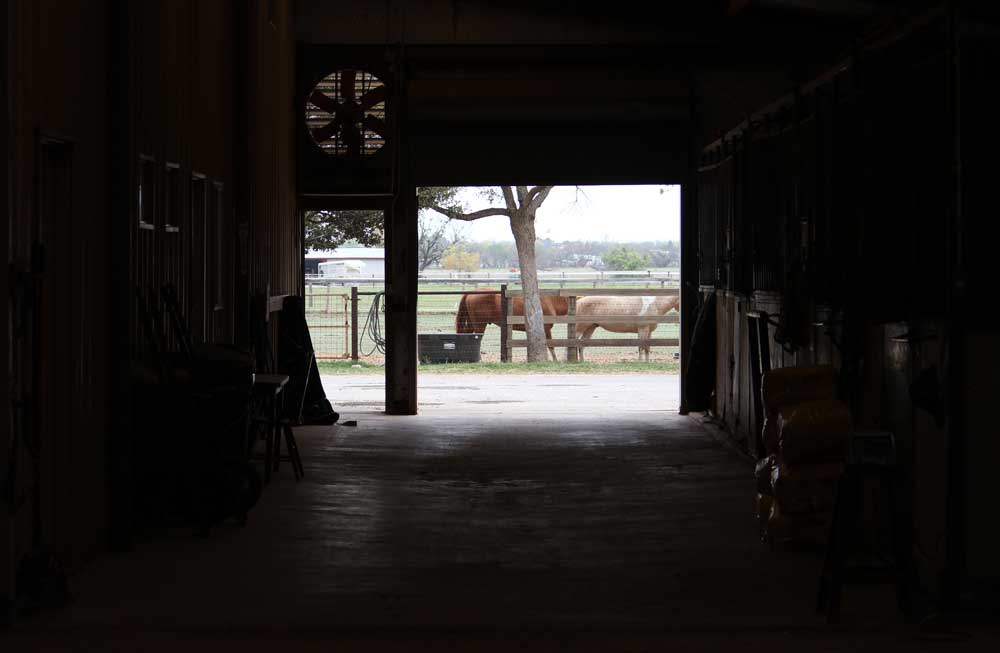 Barn and paddock